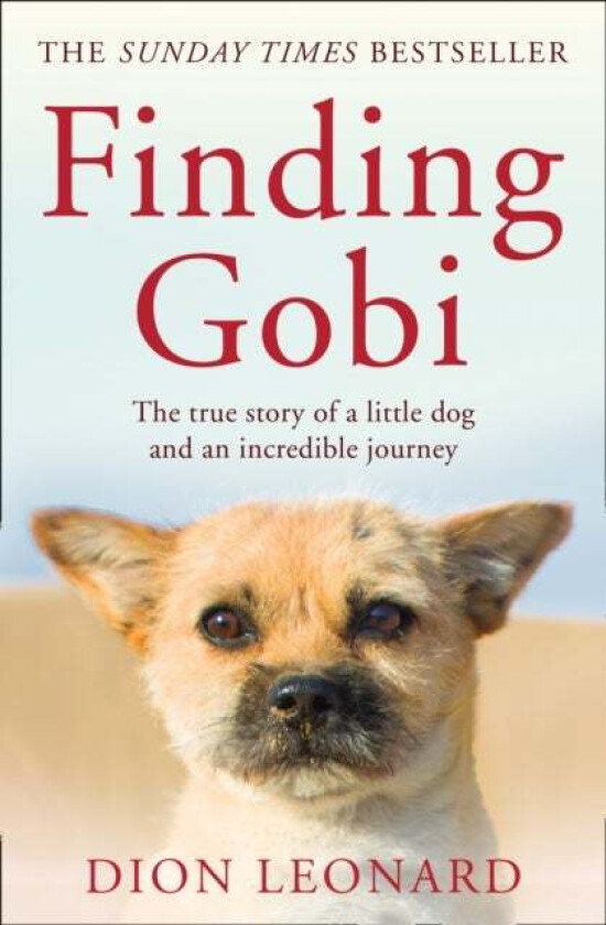 Finding Gobi (Main edition) av Dion Leonard