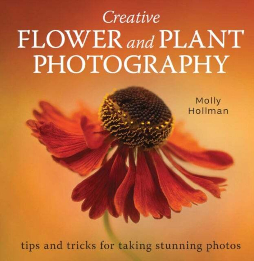 Creative Flower and Plant Photography av Molly Hollman