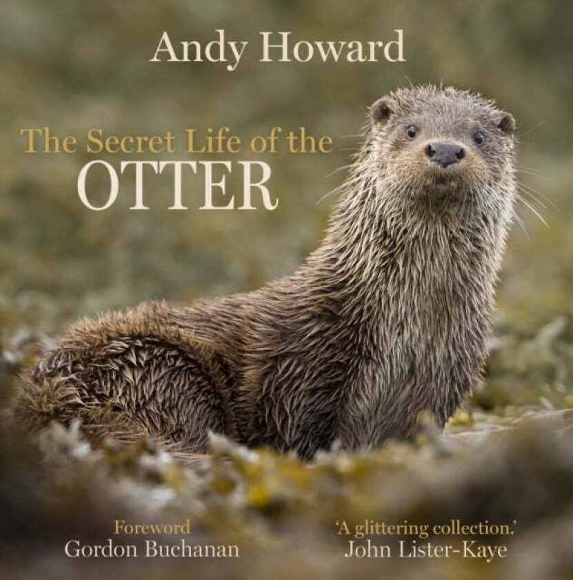 The Secret Life of the Otter av Andy Howard