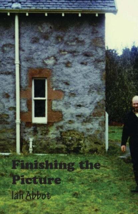 Finishing the Picture av Ian Abbot