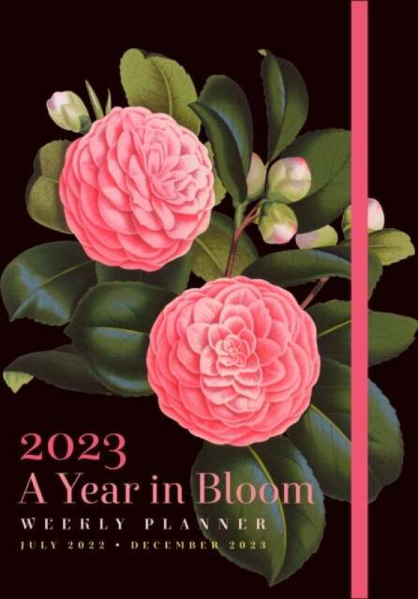 A Year in Bloom 2023 Weekly Planner av Editors of Rock Point