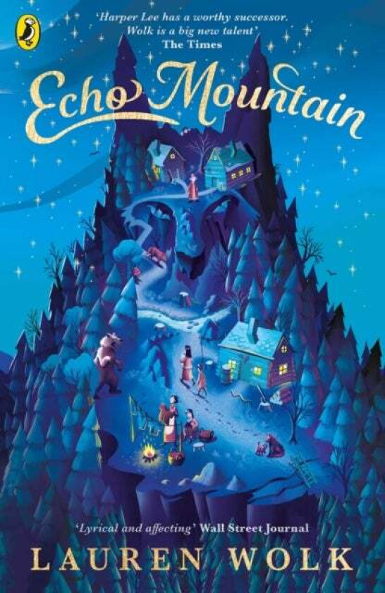 Echo Mountain av Lauren Wolk