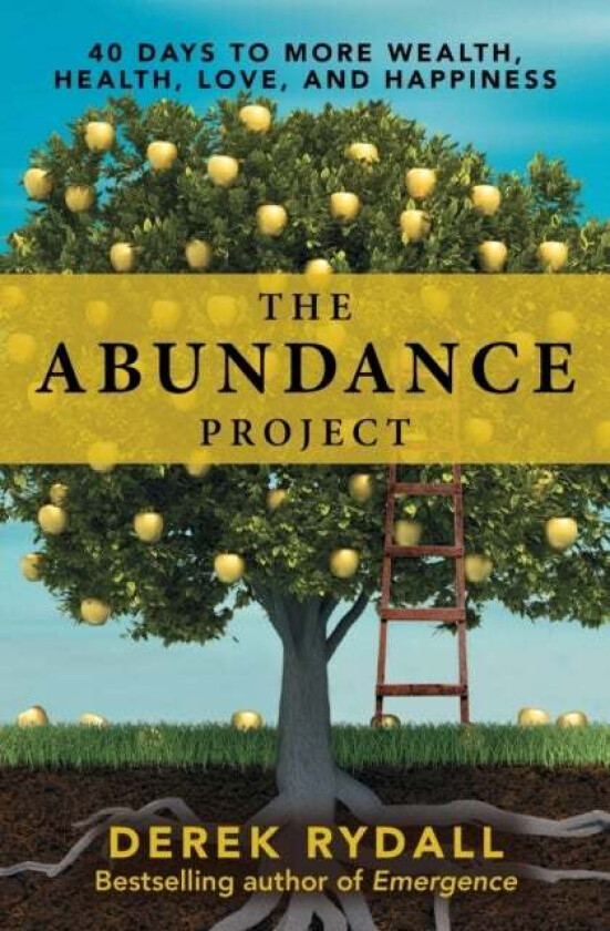 The Abundance Project av Derek Rydall