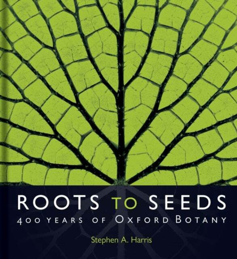 Roots to Seeds av Stephen A. (Druce Curator Oxford University Herbaria) Harris