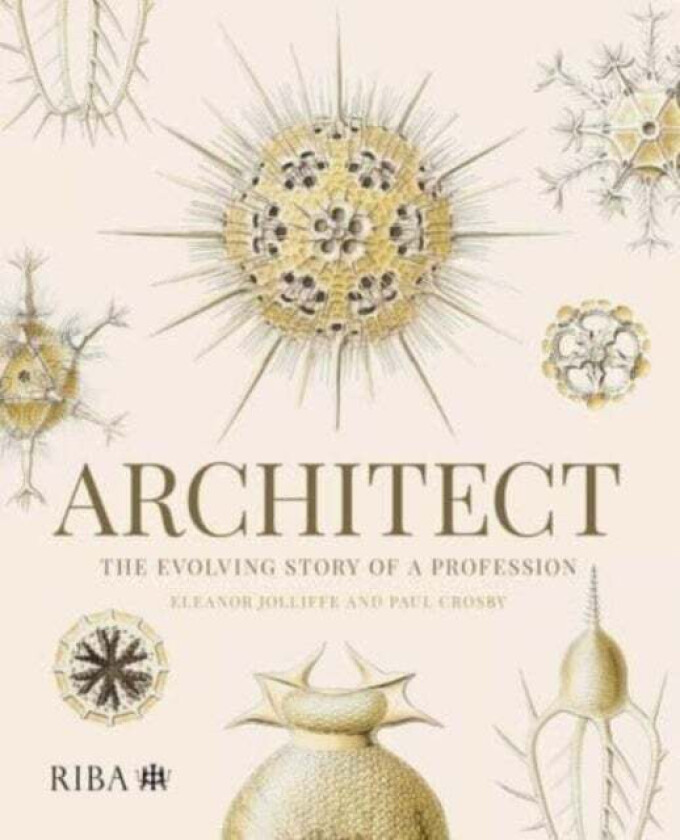 Architect: The evolving story of a profession av Eleanor Jolliffe, Paul Crosby