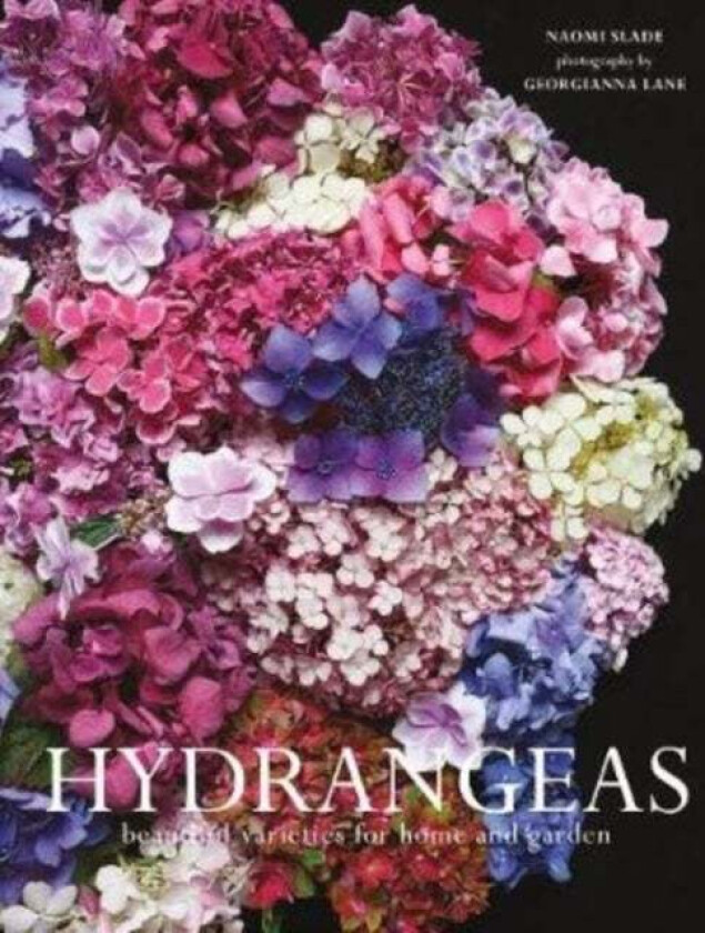 Hydrangeas av Naomi Slade