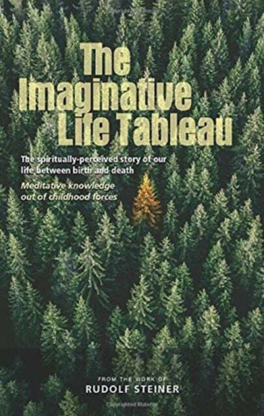 The Imaginative Life Tableau av Rudolf Steiner