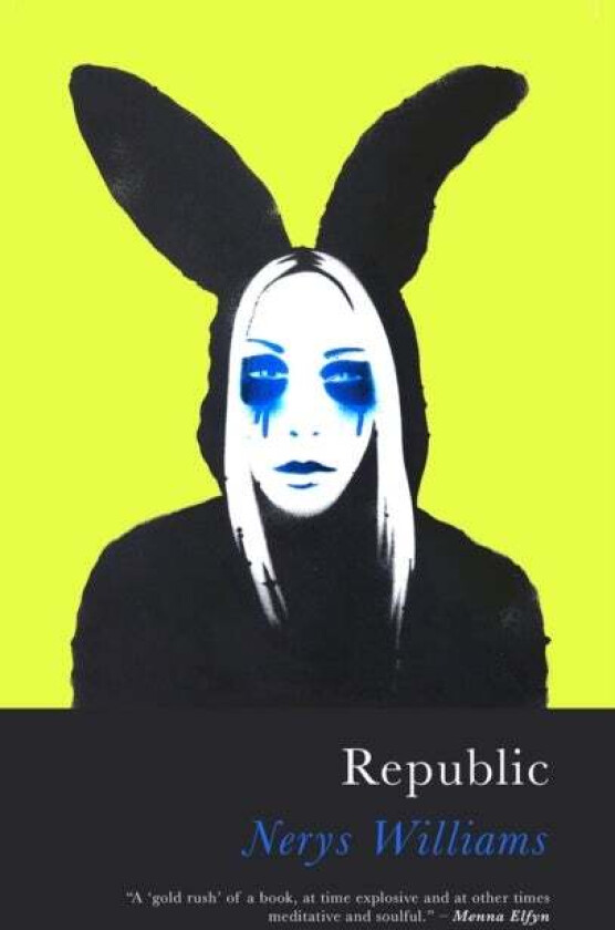 Republic av Nerys Williams