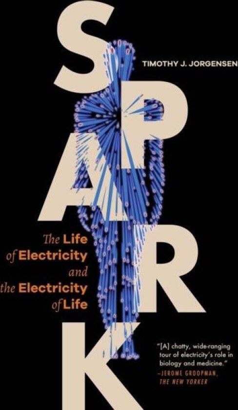 Spark av Timothy J. Jorgensen