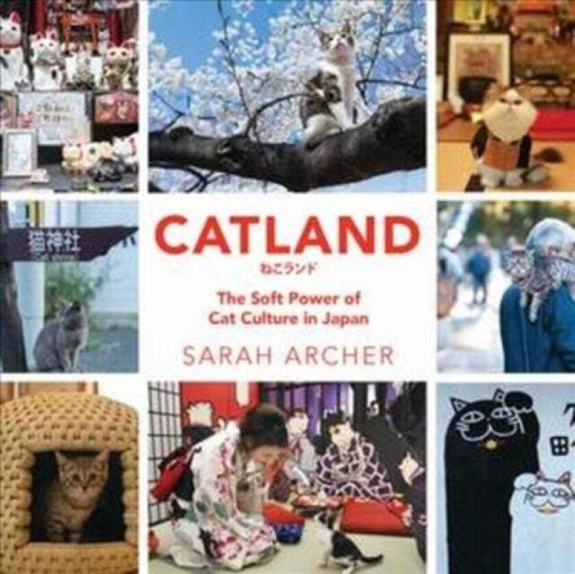 Catland av Sarah Archer