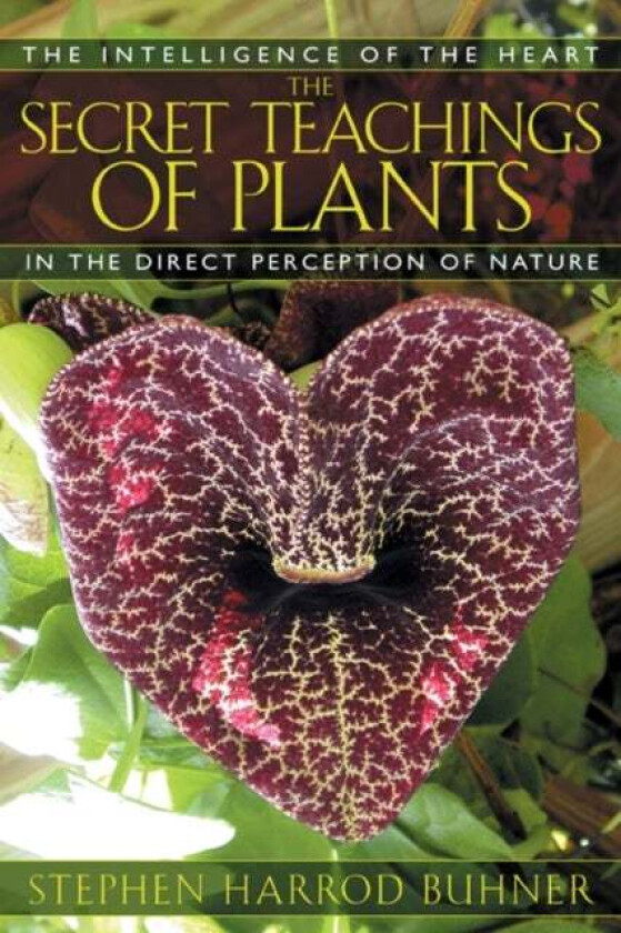 The Secret Teachings of Plants av Stephen Harrod Buhner