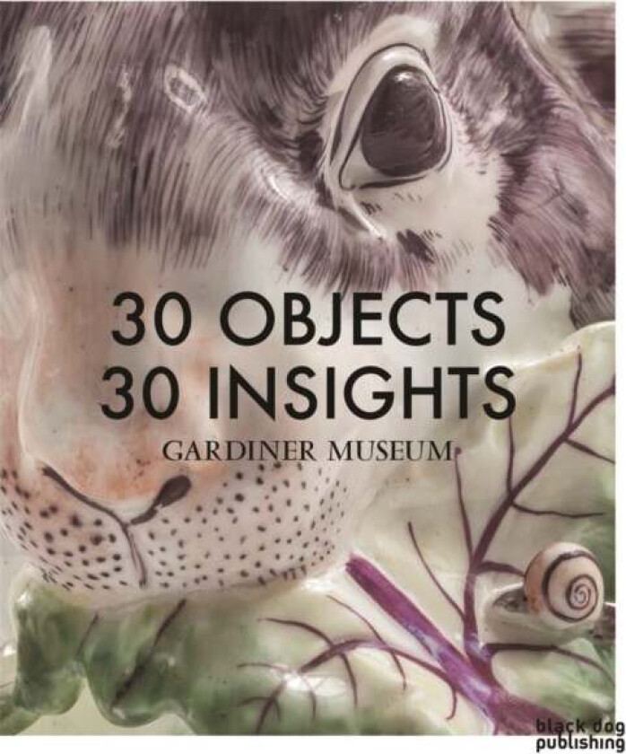 30 Objects 30 Insights