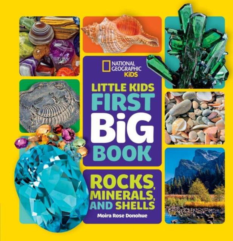 Little Kids First Big Book of Rocks, Minerals and Shells av Moira Rose Donohue, National Geographic Kids