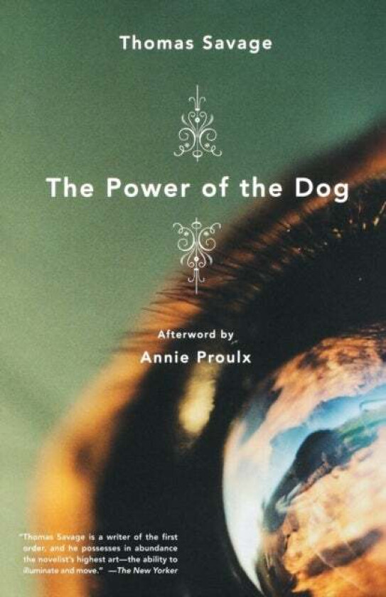 The Power of the Dog av Thomas Savage, Annie Proulx