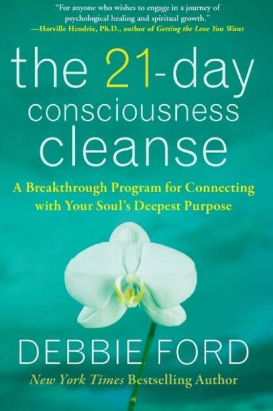 The 21-Day Consciousness Cleanse av Debbie Ford