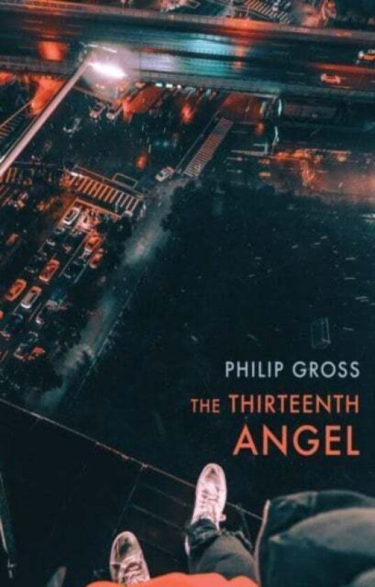 The Thirteenth Angel av Philip Gross