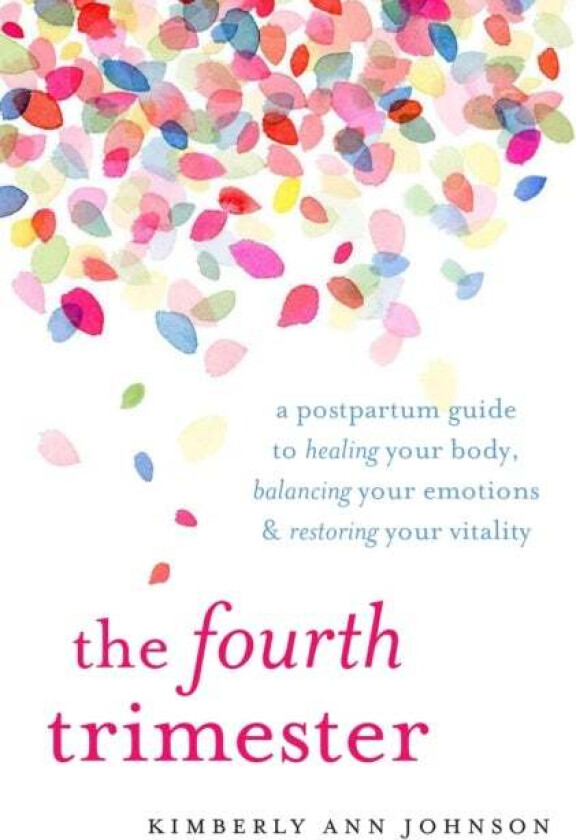 The Fourth Trimester av Kimberly Ann Johnson