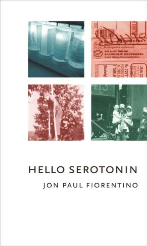 Hello Serotonin av Jon Paul Fiorentino