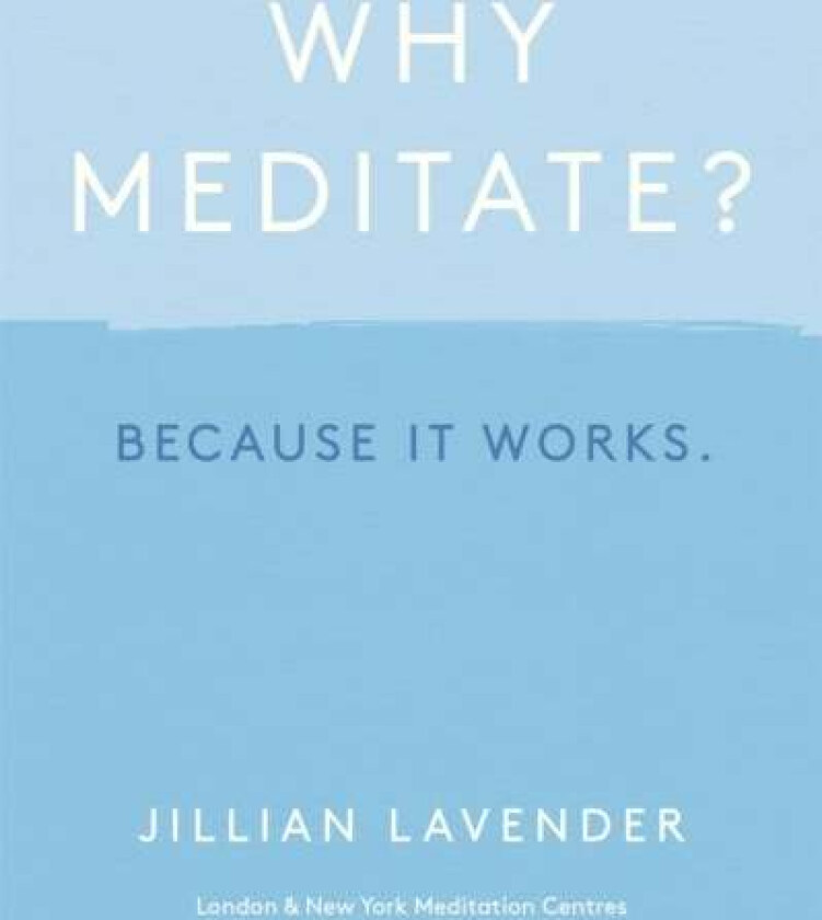 Why Meditate? Because it Works av Jillian Lavender