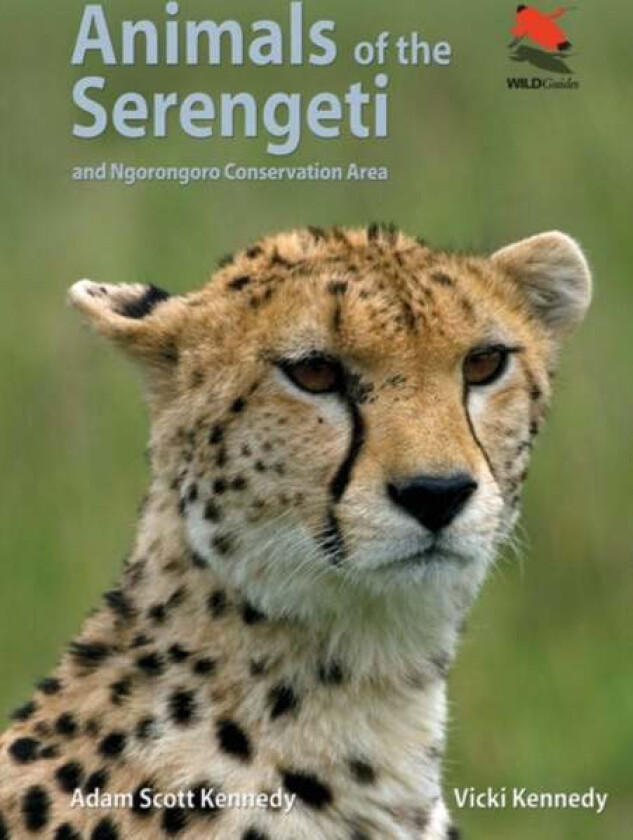 Animals of the Serengeti av Adam Scott Kennedy, Vicki Kennedy