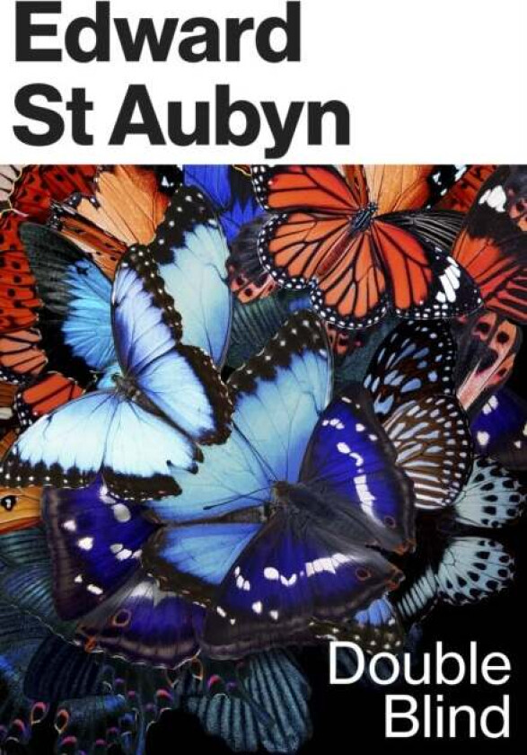 Double Blind av Edward St Aubyn