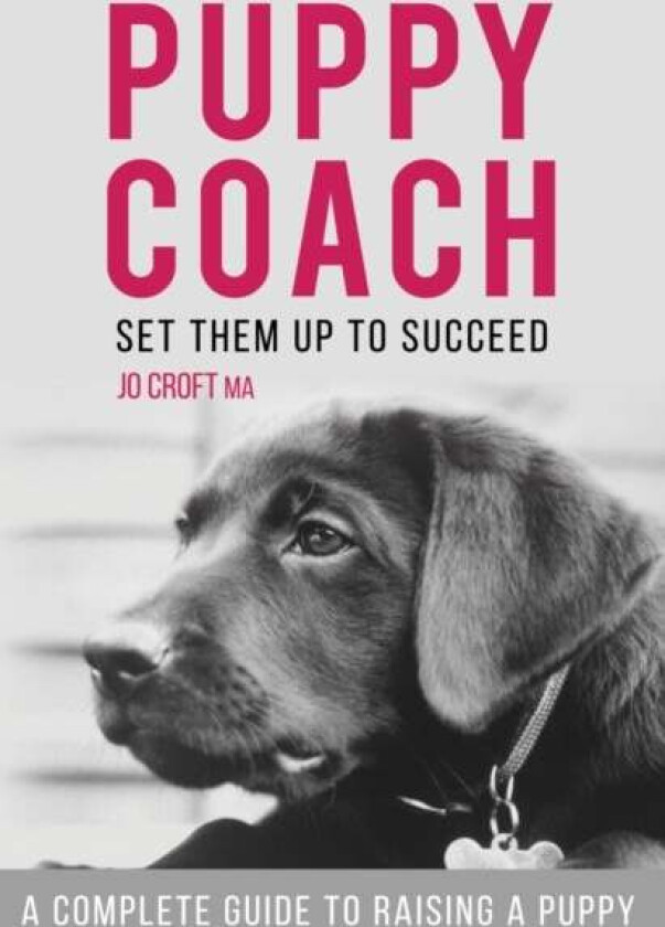 Puppy Coach av Jo Croft MA