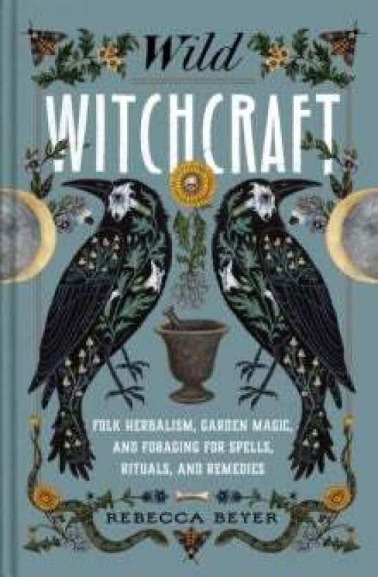 Wild Witchcraft av Rebecca Beyer