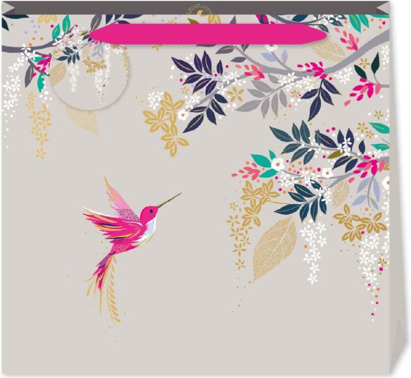 Gavepose Grey Hummingbird L
