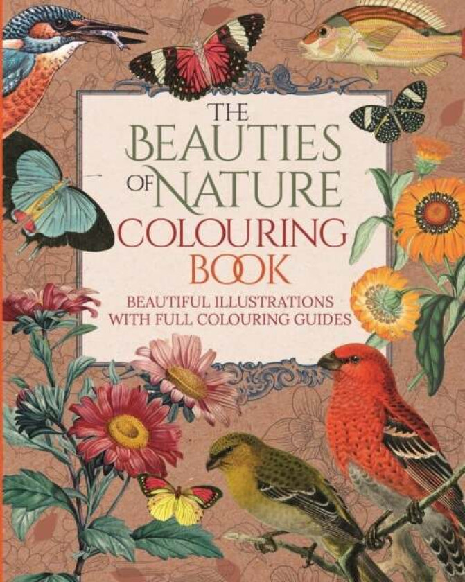 The Beauties of Nature Colouring Book av Tansy Willow
