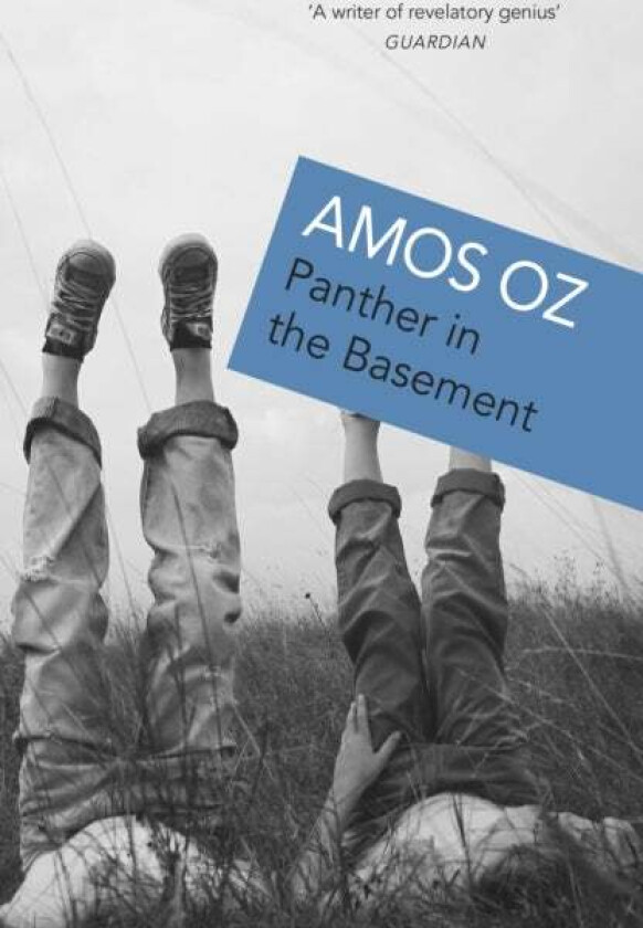 Panther In The Basement av Amos Oz