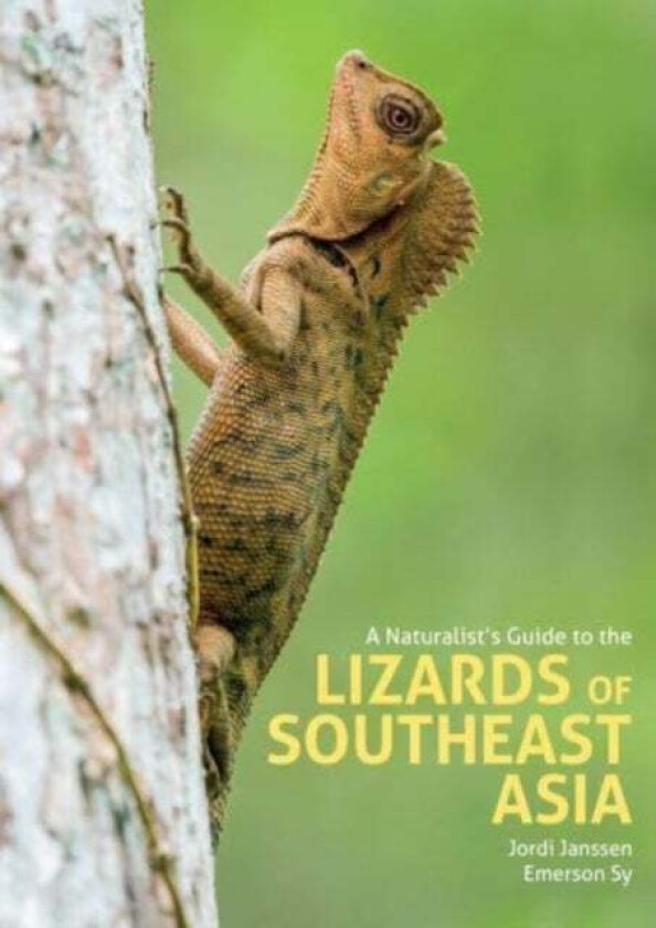 A Naturalist's Guide to the Lizards of Southeast Asia av Jordi Janssen, Emerson Sy