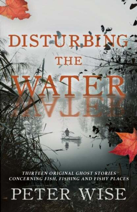 Disturbing the Water av Peter Wise