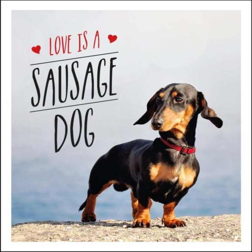 Love is a Sausage Dog av Charlie Ellis