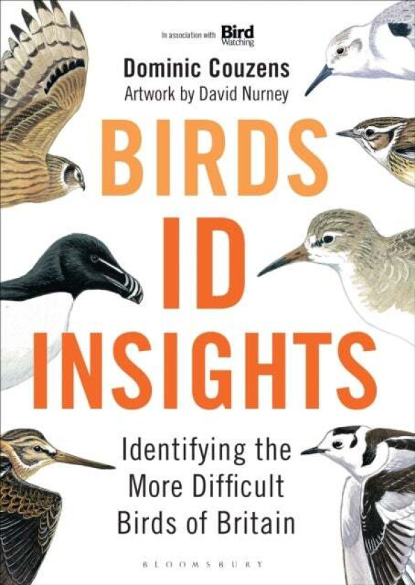 Birds: ID Insights av Dominic Couzens