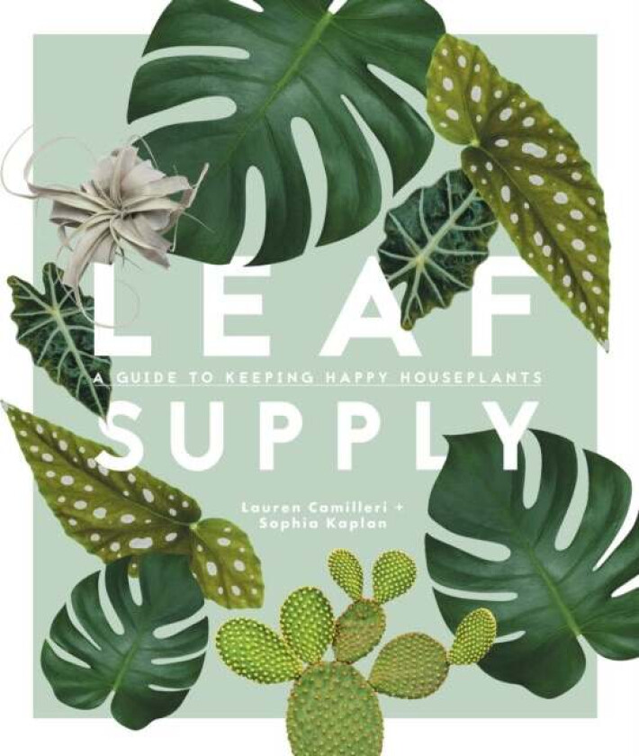 Leaf Supply av Lauren Camilleri, Sophia Kaplan