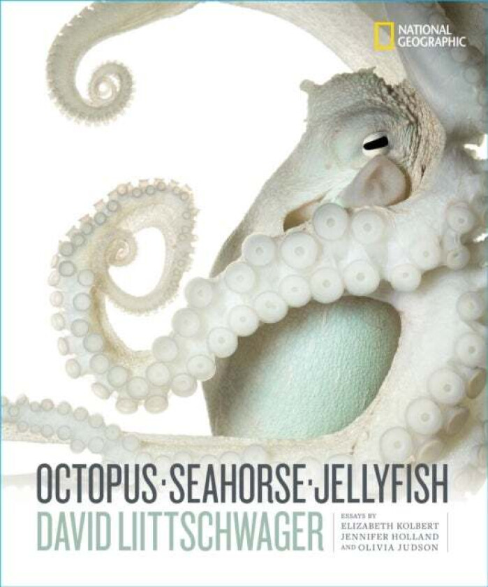 Octopus, Seahorse, Jellyfish av David Littschwager