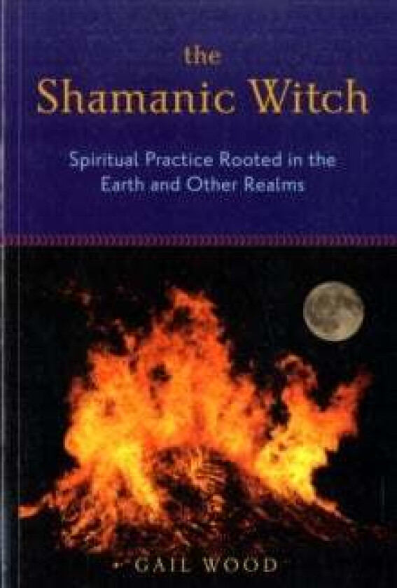 Shamanic Witch av Gail (Gail Wood) Wood