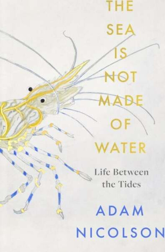 The Sea is Not Made of Water av Adam Nicolson