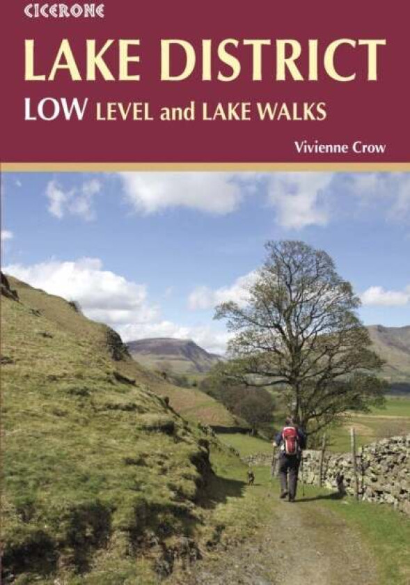 Lake District: Low Level and Lake Walks av Vivienne Crow