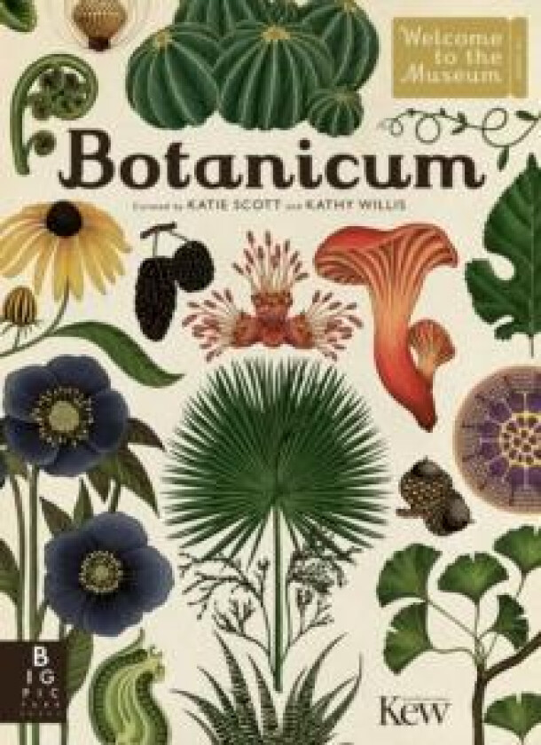 Botanicum av Kathy Willis