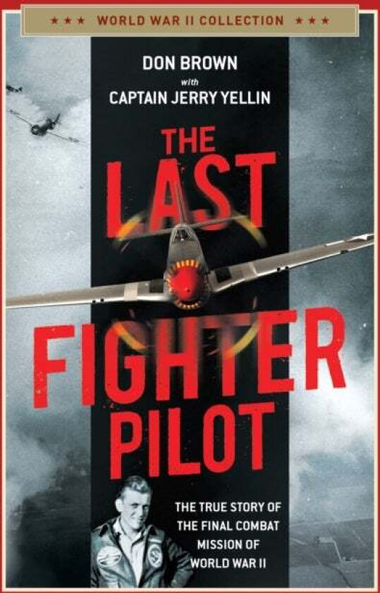 The Last Fighter Pilot av Don Brown