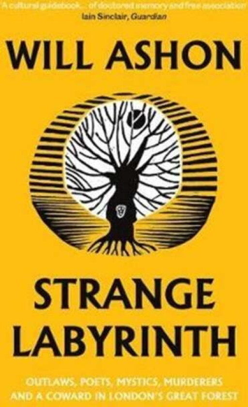 Strange Labyrinth av Will Ashon