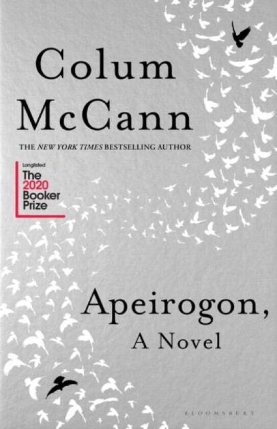 Apeirogon av Colum McCann