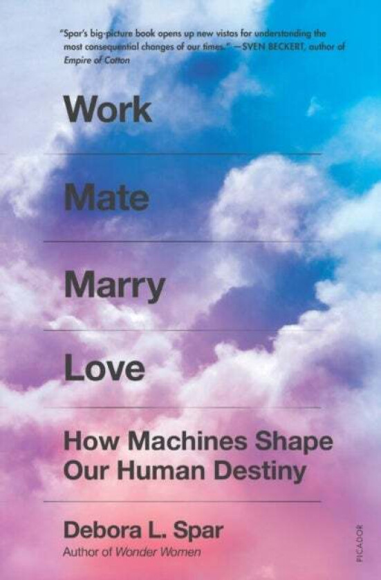 Work Mate Marry Love av Debora L. Spar