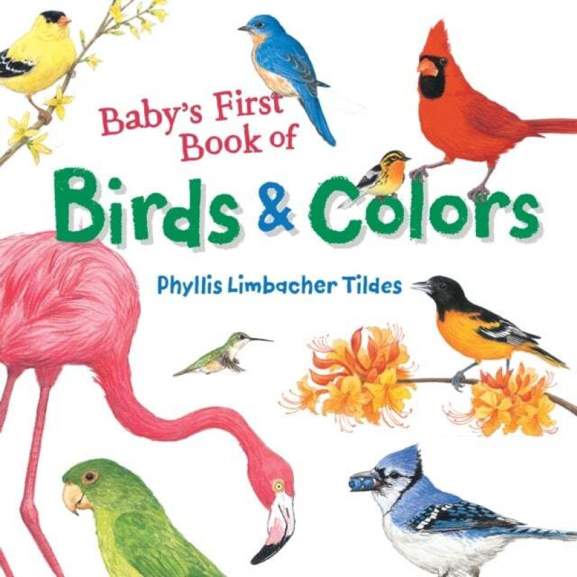 Baby's First Book of Birds & Colors av Phyllis Limbacher Tildes