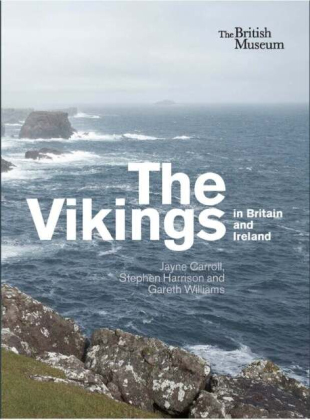 Vikings in Britain and Ireland, The av Carroll & Harrison