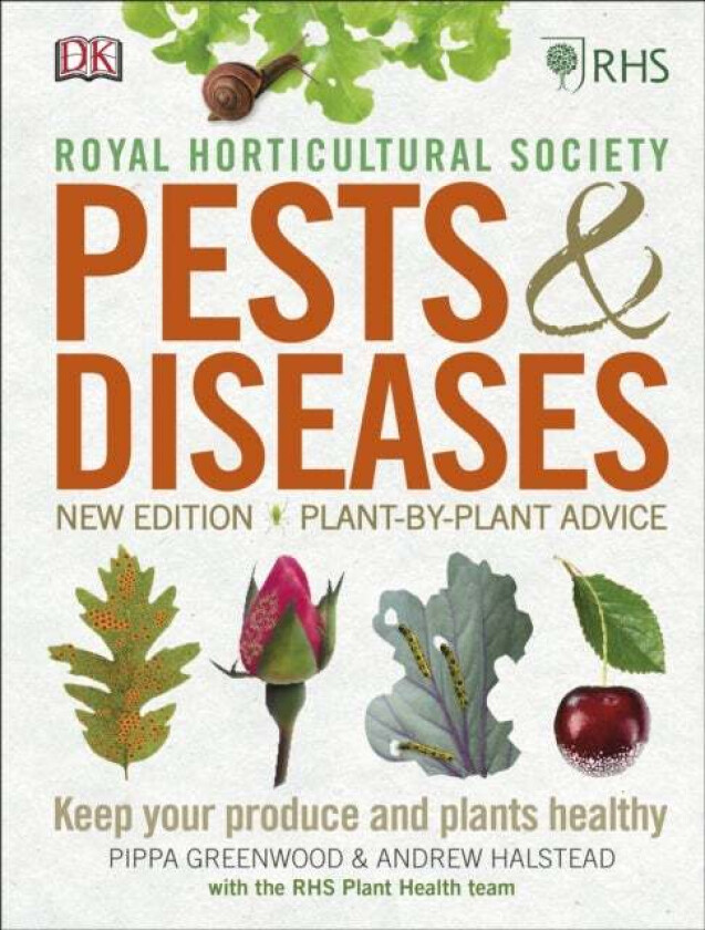 RHS Pests & Diseases av Andrew Halstead, Pippa Greenwood