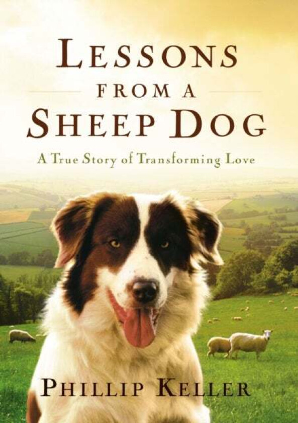 Lessons from a Sheep Dog av Phillip Keller