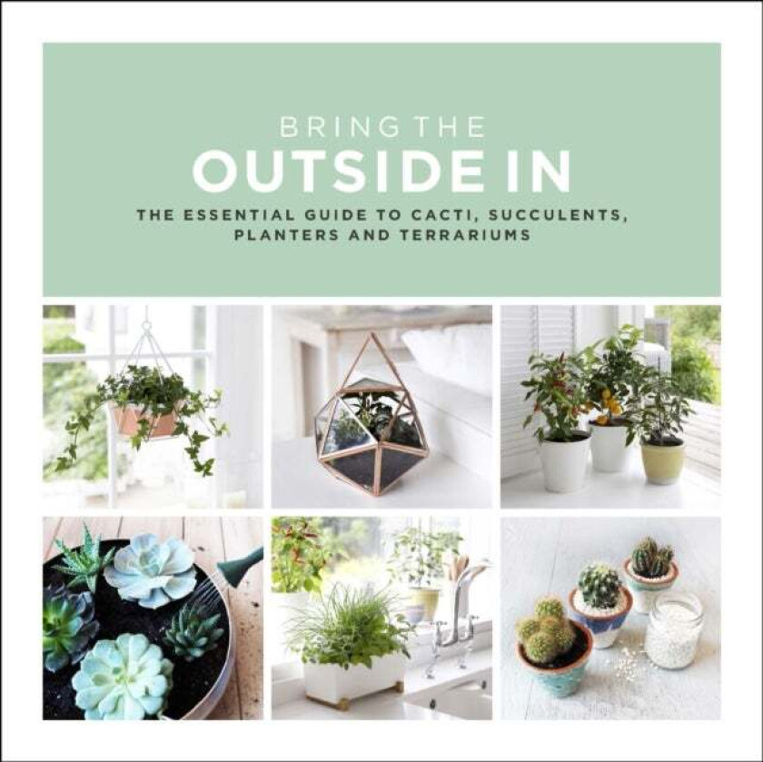 Bring The Outside In av Val Bradley