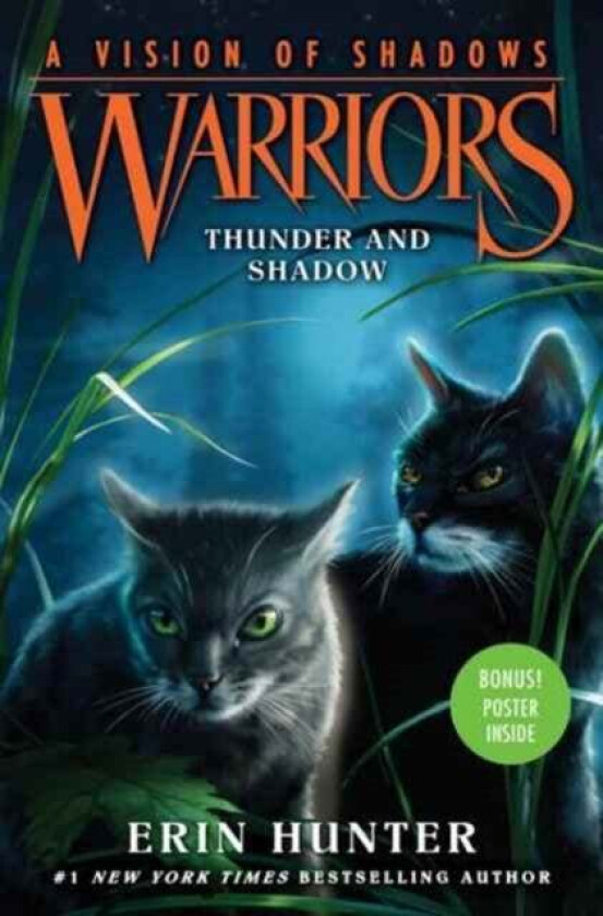 Warriors: A Vision of Shadows #2: Thunder and Shadow av Erin Hunter